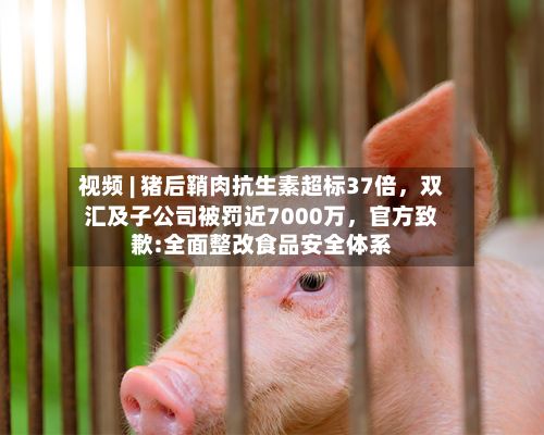 视频 | 猪后鞘肉抗生素超标37倍，双汇及子公司被罚近7000万	，官方致歉:全面整改食品安全体系-第2张图片