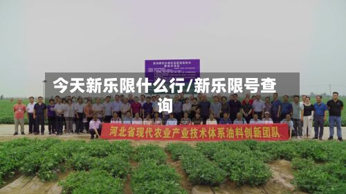 今天新乐限什么行/新乐限号查询-第3张图片
