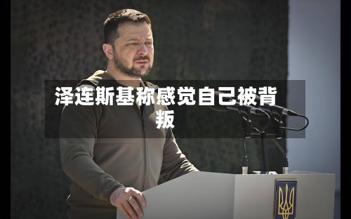 泽连斯基称感觉自己被背叛
