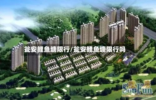 瓮安鲤鱼塘限行/瓮安鲤鱼塘限行吗