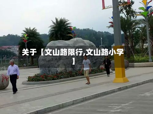 关于【文山路限行,文山路小学】
