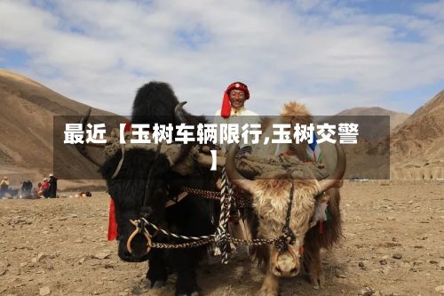 最近【玉树车辆限行,玉树交警】