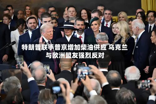 特朗普联手普京增加柴油供应 乌克兰与欧洲盟友强烈反对-第3张图片