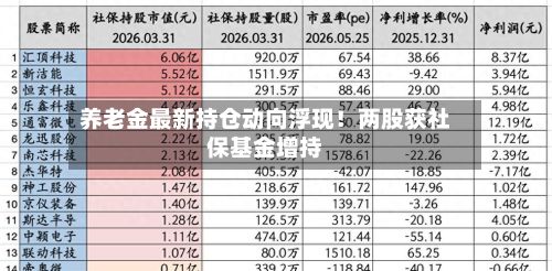 养老金最新持仓动向浮现!两股获社保基金增持-第2张图片