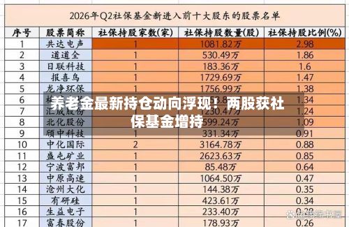养老金最新持仓动向浮现!两股获社保基金增持-第3张图片