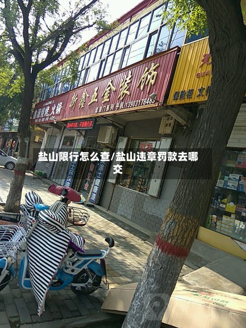 盐山限行怎么查/盐山违章罚款去哪交