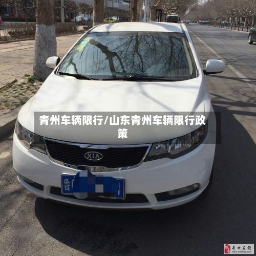青州车辆限行/山东青州车辆限行政策-第2张图片