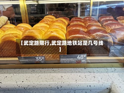 【武定路限行,武定路地铁站是几号线】