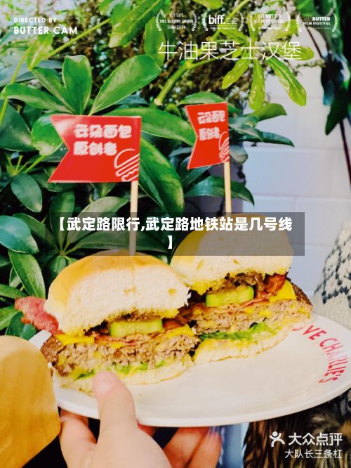 【武定路限行,武定路地铁站是几号线】-第3张图片
