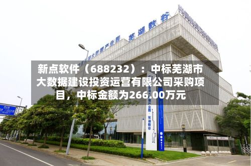 新点软件（688232）：中标芜湖市大数据建设投资运营有限公司采购项目，中标金额为266.00万元-第2张图片