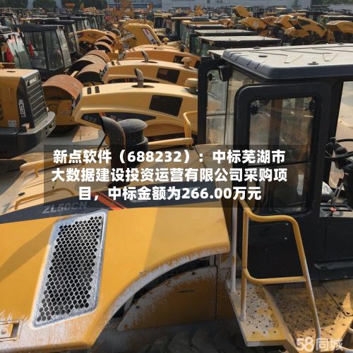 新点软件（688232）：中标芜湖市大数据建设投资运营有限公司采购项目，中标金额为266.00万元-第3张图片