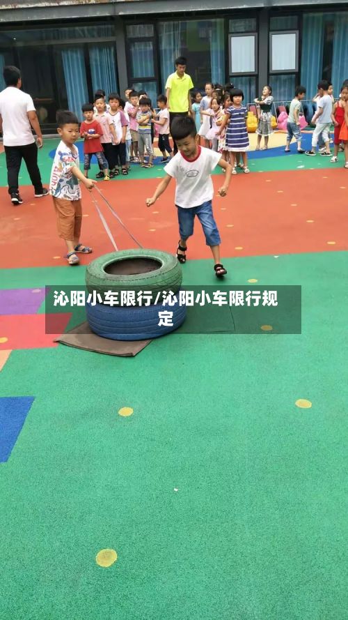 沁阳小车限行/沁阳小车限行规定