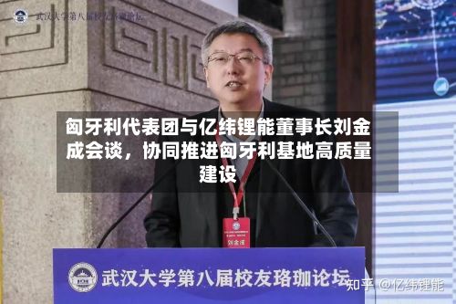 匈牙利代表团与亿纬锂能董事长刘金成会谈，协同推进匈牙利基地高质量建设