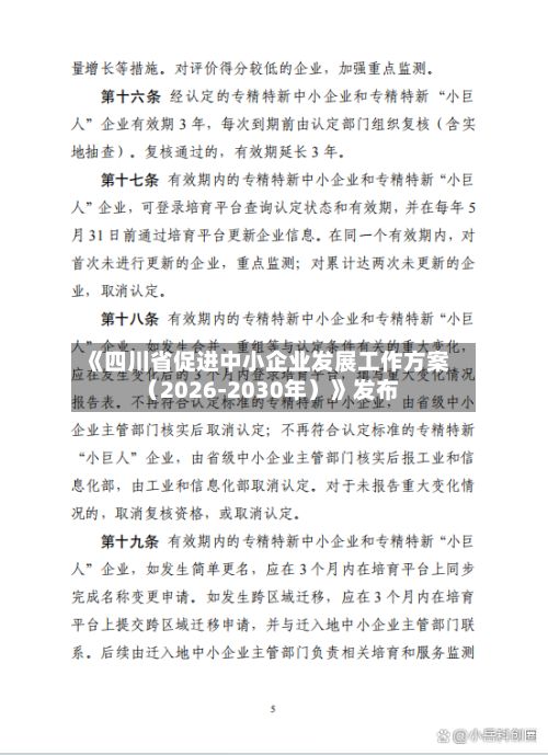《四川省促进中小企业发展工作方案（2026-2030年）》发布-第2张图片