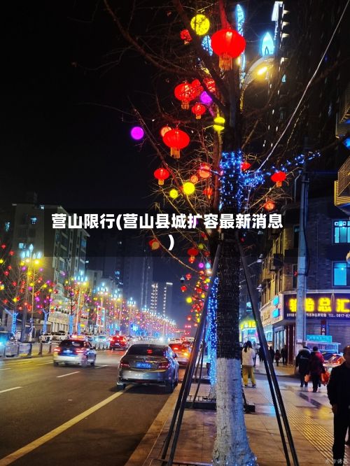 营山限行(营山县城扩容最新消息)