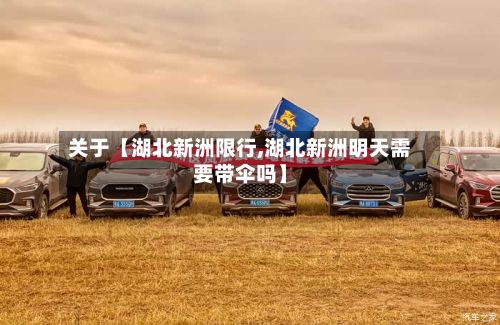 关于【湖北新洲限行,湖北新洲明天需要带伞吗】-第2张图片