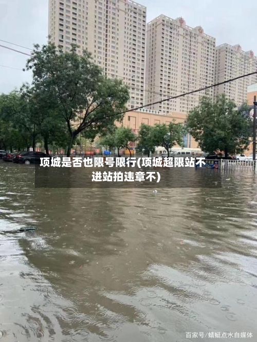 项城是否也限号限行(项城超限站不进站拍违章不)-第3张图片