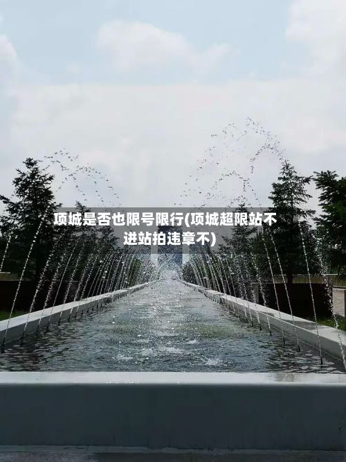 项城是否也限号限行(项城超限站不进站拍违章不)-第2张图片