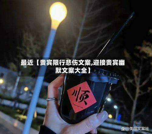 最近【贵宾限行悲伤文案,迎接贵宾幽默文案大全】-第3张图片