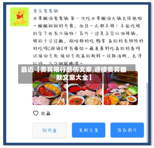 最近【贵宾限行悲伤文案,迎接贵宾幽默文案大全】-第2张图片