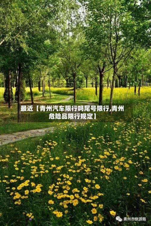 最近【青州汽车限行吗尾号限行,青州危险品限行规定】-第2张图片