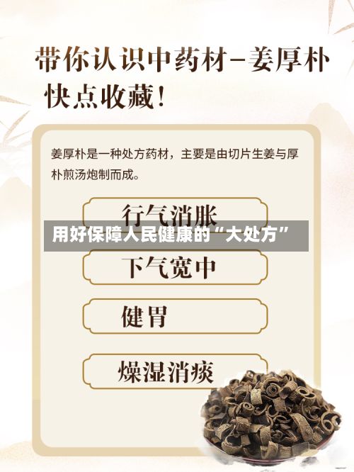 用好保障人民健康的“大处方”
