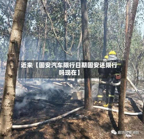 近来【固安汽车限行日期固安还限行吗现在】