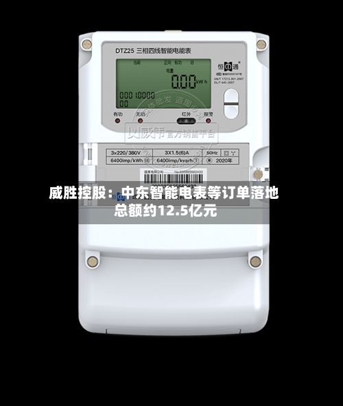 威胜控股:中东智能电表等订单落地 总额约12.5亿元-第2张图片