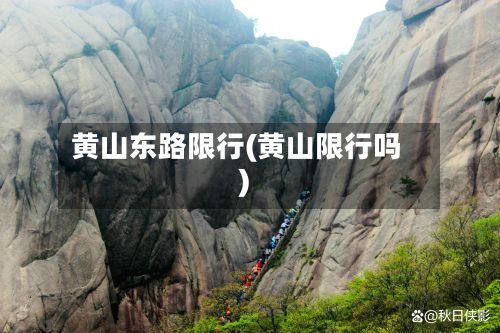 黄山东路限行(黄山限行吗)