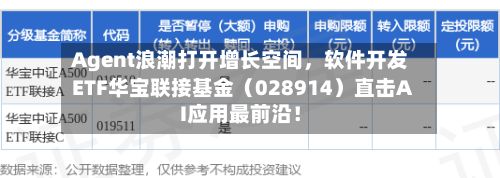 Agent浪潮打开增长空间	，软件开发ETF华宝联接基金（028914）直击AI应用最前沿！-第3张图片