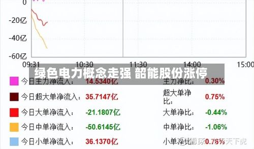 绿色电力概念走强 韶能股份涨停