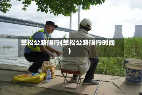 莘松公路限行(莘松公路限行时间)-第2张图片