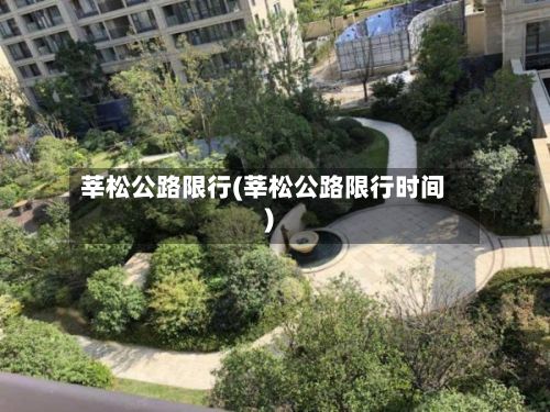 莘松公路限行(莘松公路限行时间)