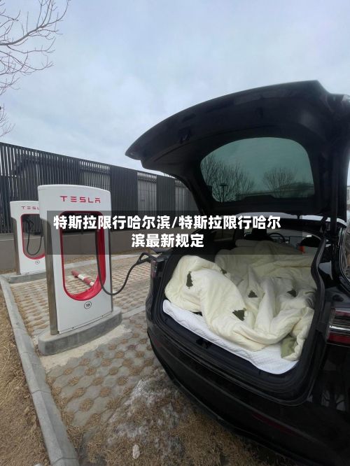 特斯拉限行哈尔滨/特斯拉限行哈尔滨最新规定-第2张图片