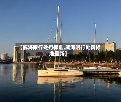 【威海限行处罚标准,威海限行处罚标准最新】