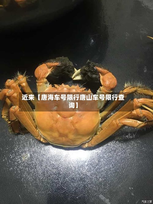 近来【唐海车号限行唐山车号限行查询】-第2张图片