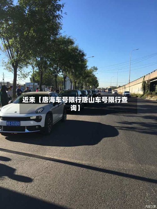 近来【唐海车号限行唐山车号限行查询】-第3张图片