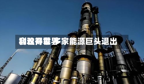 利雅得世界会议开幕 多家能源巨头退出-第3张图片