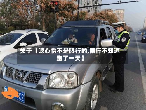 关于【嗯心怡不是限行的,限行不知道跑了一天】-第2张图片