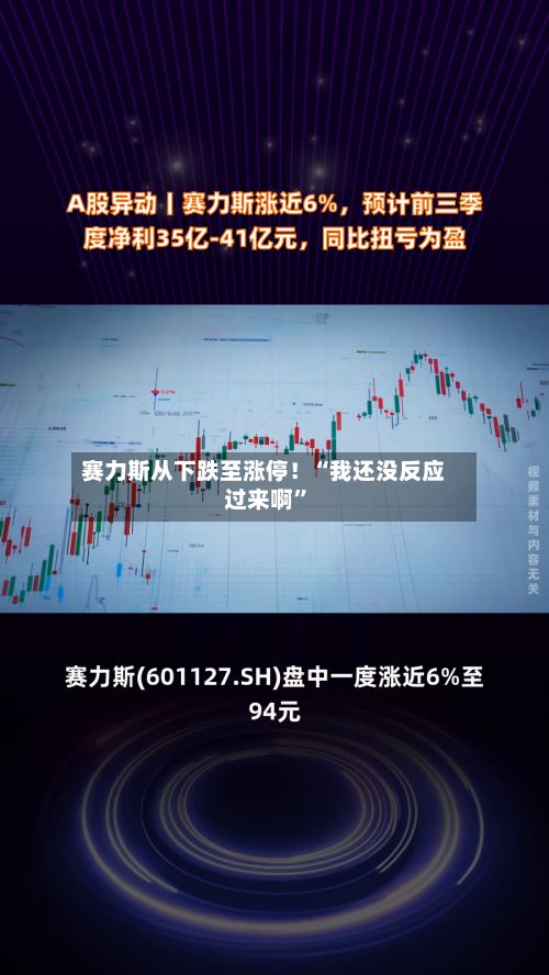 赛力斯从下跌至涨停！“我还没反应过来啊	”-第2张图片
