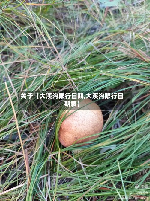 关于【大溪沟限行日期,大溪沟限行日期表】-第2张图片