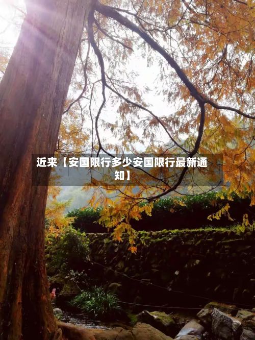 近来【安国限行多少安国限行最新通知】