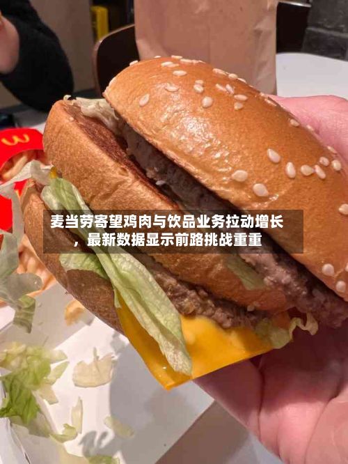 麦当劳寄望鸡肉与饮品业务拉动增长	，最新数据显示前路挑战重重-第2张图片