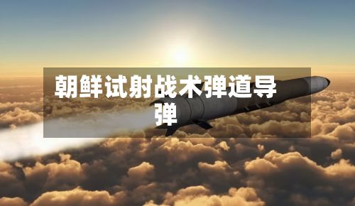 朝鲜试射战术弹道导弹-第2张图片