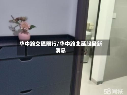 华中路交通限行/华中路北延段最新消息-第3张图片