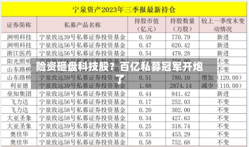 险资砸盘科技股？百亿私募冠军开炮了