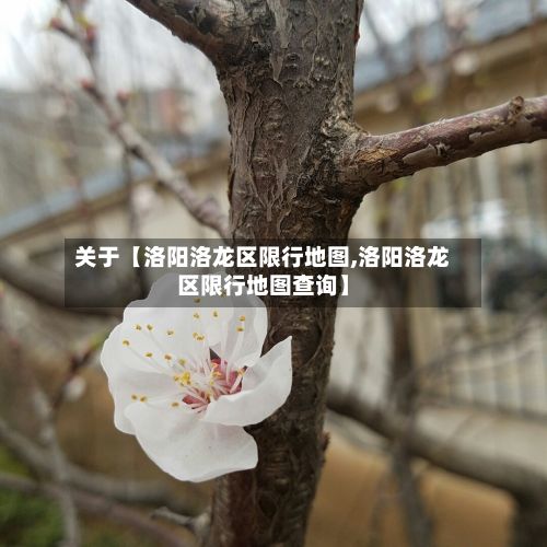关于【洛阳洛龙区限行地图,洛阳洛龙区限行地图查询】