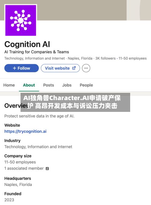 AI独角兽Character.AI申请破产保护 高昂开发成本与诉讼压力夹击-第2张图片
