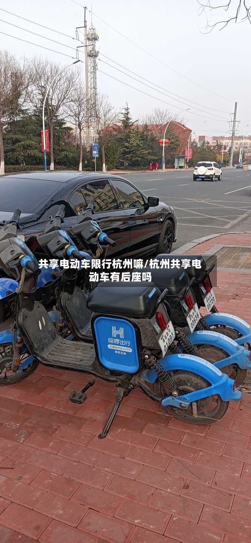 共享电动车限行杭州嘛/杭州共享电动车有后座吗-第2张图片