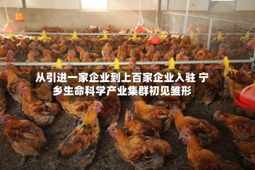 从引进一家企业到上百家企业入驻 宁乡生命科学产业集群初见雏形-第2张图片